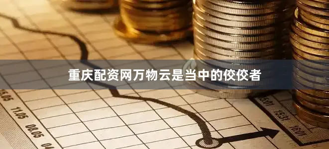 重庆配资网万物云是当中的佼佼者