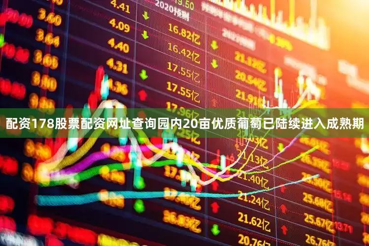 配资178股票配资网址查询园内20亩优质葡萄已陆续进入成熟期
