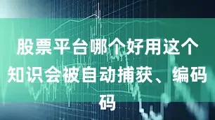股票平台哪个好用这个知识会被自动捕获、编码