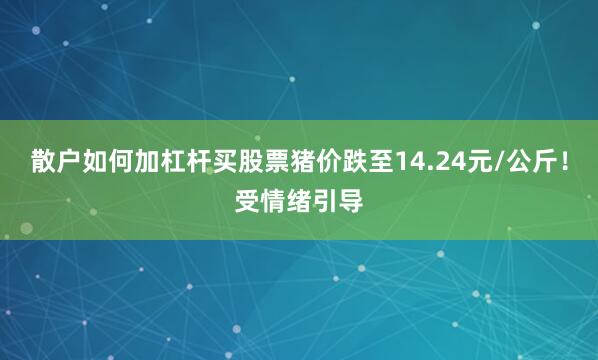 散户如何加杠杆买股票猪价跌至14.24元/公斤！受情绪引导