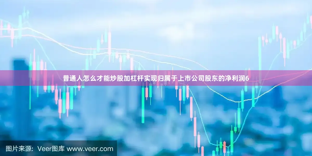 普通人怎么才能炒股加杠杆实现归属于上市公司股东的净利润6