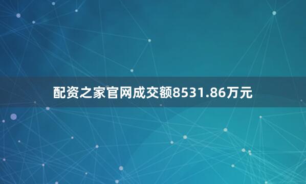 配资之家官网成交额8531.86万元
