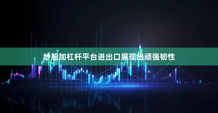 炒股加杠杆平台进出口展现出顽强韧性